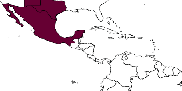 map of Triepeolus warriti     Rightmyer, 2008